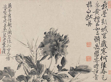 Twelve Flowers and Poems